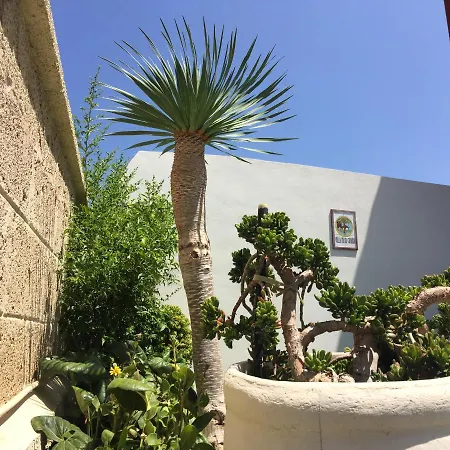 Palma Canaria Tenerife Adeje